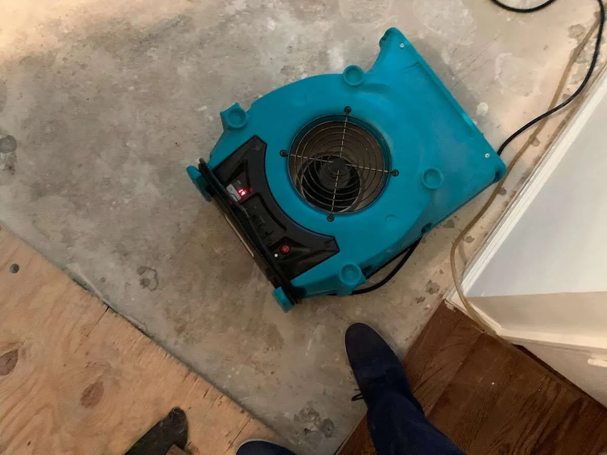 Air mover drying subfloor during Leak Detection & Repair in Moreau